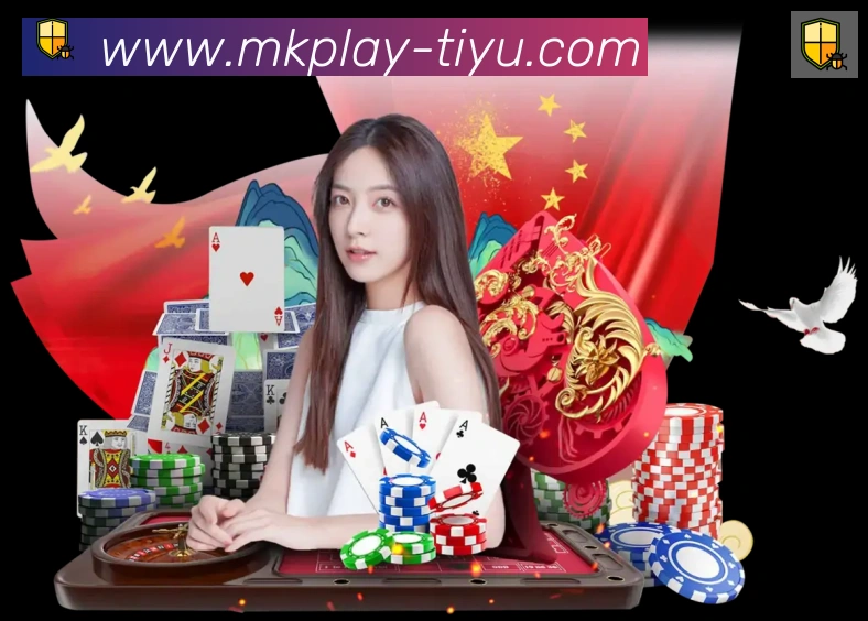 未来规划